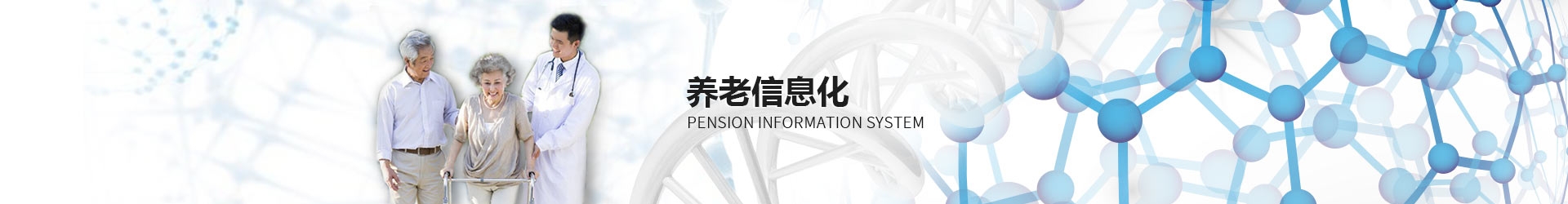 养老信息化